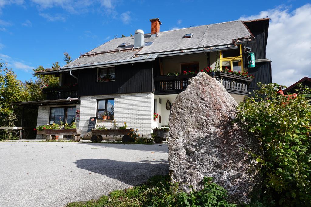 Guest House Beli Kamen Vojsko Eksteriør bilde
