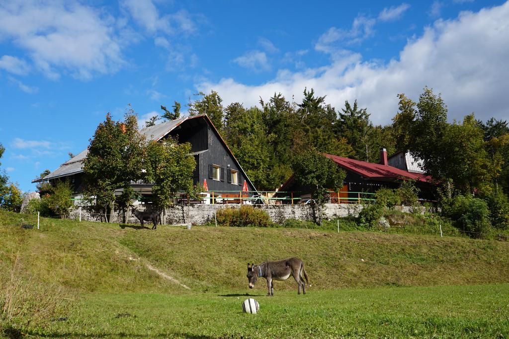 Guest House Beli Kamen Vojsko Eksteriør bilde
