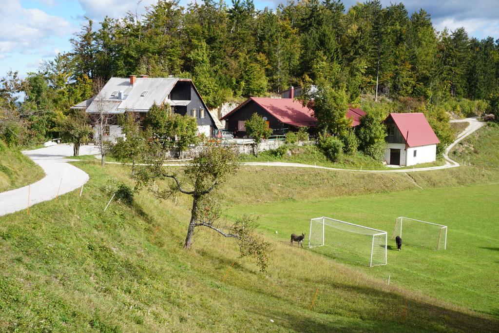 Guest House Beli Kamen Vojsko Eksteriør bilde